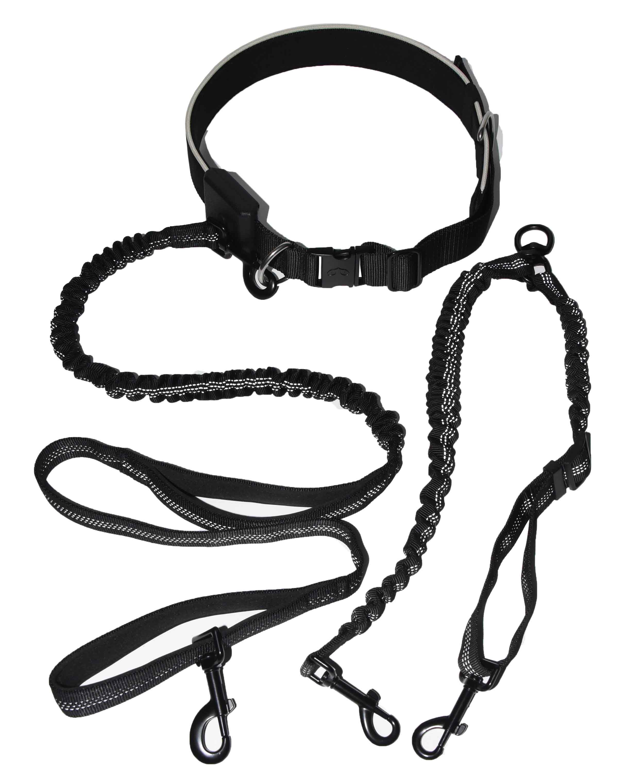 Black double-bungee hands-free dog leash for walking two dogs safely and comfortably with shock absorption.