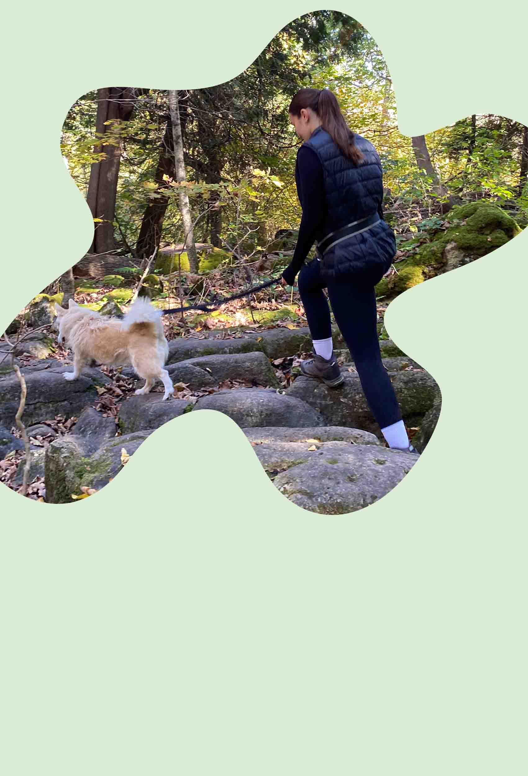 Woman hiking rocky forest trail using a hands-free dog leash waist belt while walking her small dog safely and comfortably.
