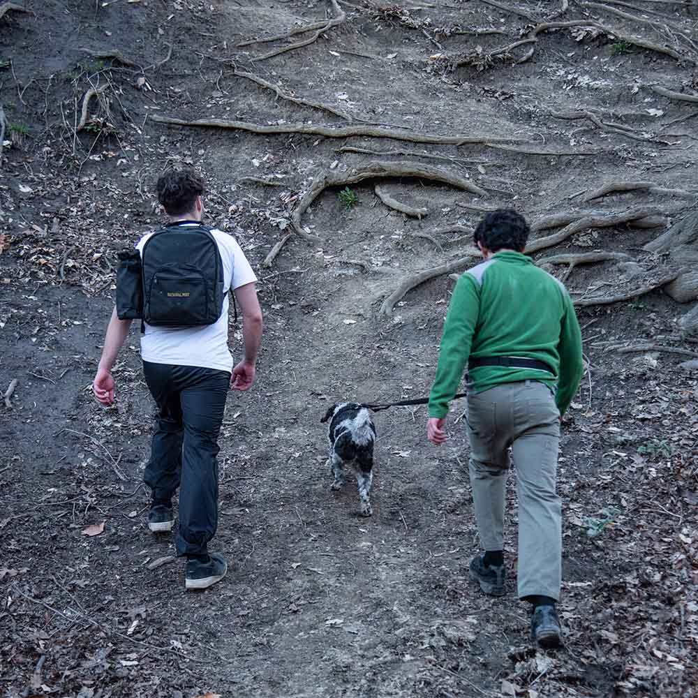 Two people hiking uphill with a dog using a hands-free dog leash, enjoying outdoor freedom and comfort on rugged terrain.