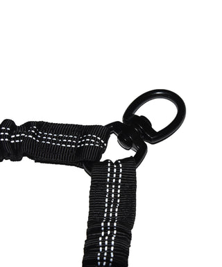 Hands-Free Dog Belt & Leash (Two Dogs)