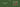 Black Friday sale banner showing 50% off Glowhound hands-free dog leash with walking silhouette on green background.