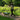 Woman hiking with dog using hands-free dog leash belt on a forest trail for safe and comfortable outdoor walking experience.