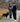Couple walking their dog with a hands-free dog leash on a fall day, enjoying a coffee outdoors in the park.