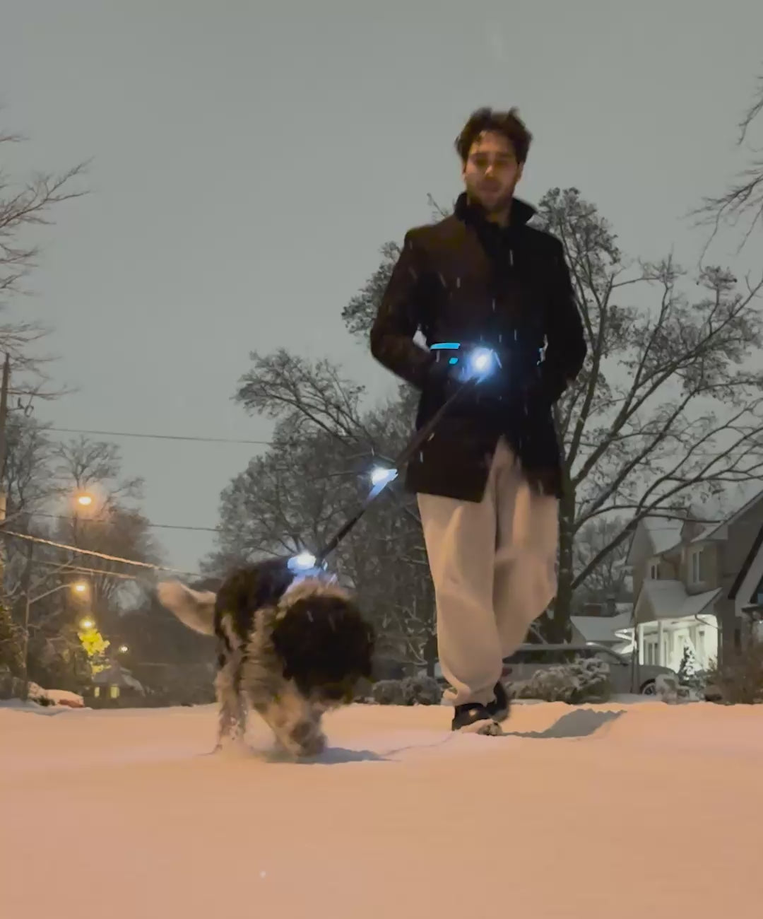 Compact clip-on safety light for dog walking, running, or cycling at night, improving visibility and safety for pets and owners.